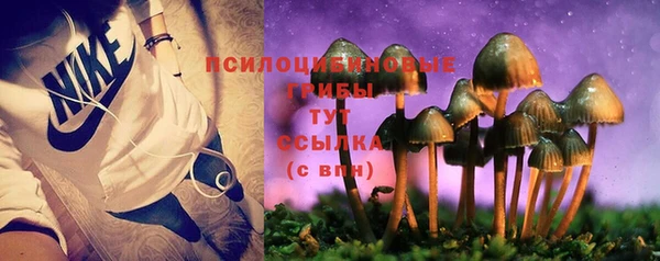 крисы Зеленодольск