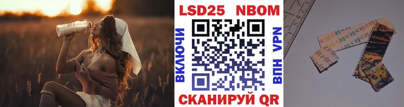 Купить где Бологое Марки N-bome 1,8мг
