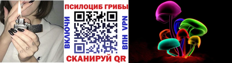 Купить закладки  Бологое  Псилоцибиновые грибы GOLDEN TEACHER 